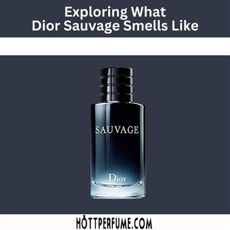 savaage dior|what does dior sauvage smell like.